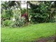 Millaa Millaa QLD 4886