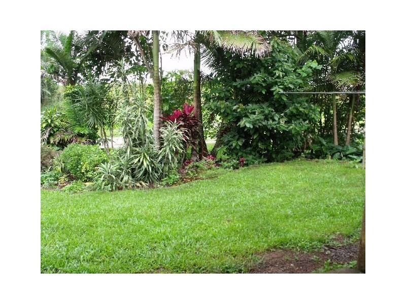 Millaa Millaa QLD 4886