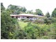 Yungaburra QLD 4884