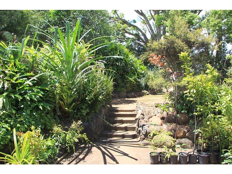 11 Cedar Street, Yungaburra QLD 4884