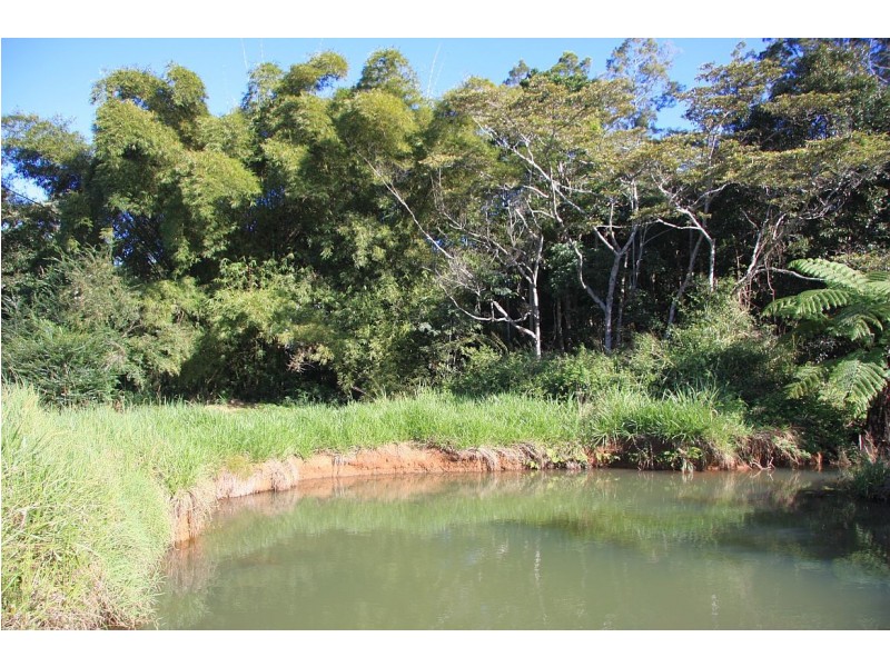 Yungaburra QLD 4884