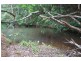 Yungaburra QLD 4884
