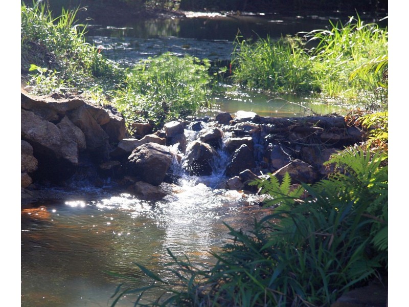 Yungaburra QLD 4884