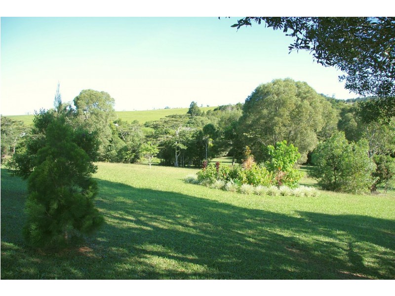 Yungaburra QLD 4884