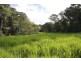 Butchers Creek QLD 4885