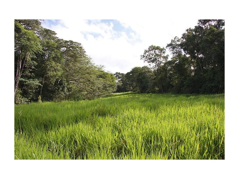 Butchers Creek QLD 4885