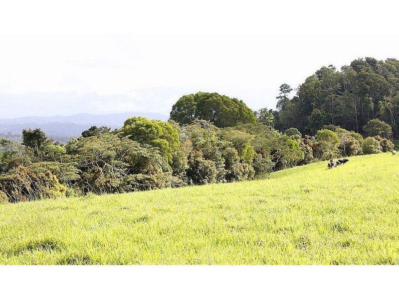 Butchers Creek QLD 4885