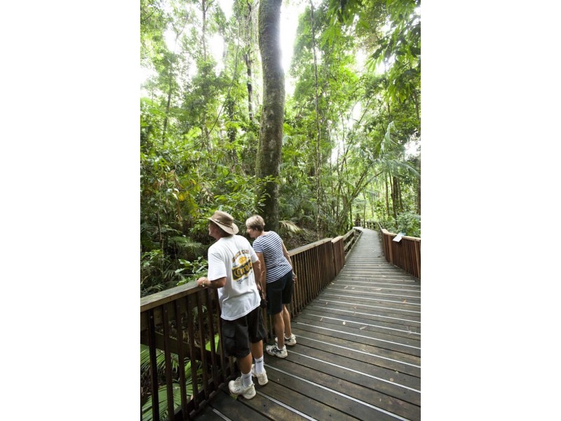 Lot 5  Buchanan Creek Rd, Cow Bay QLD 4873