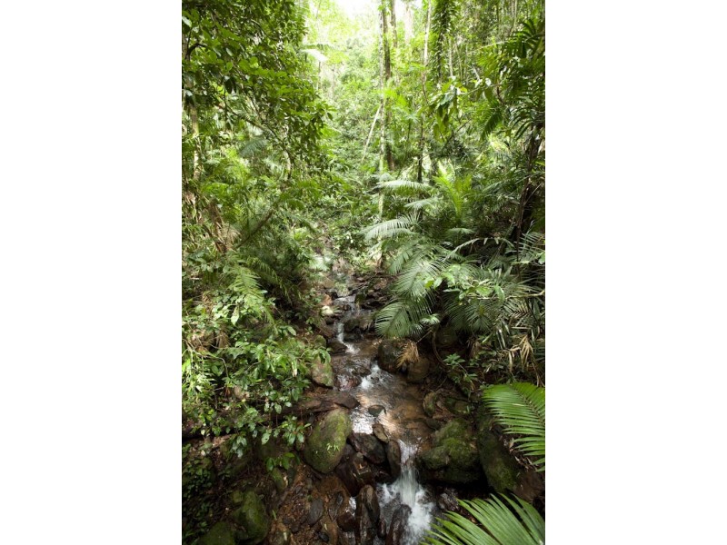Lot 5  Buchanan Creek Rd, Cow Bay QLD 4873