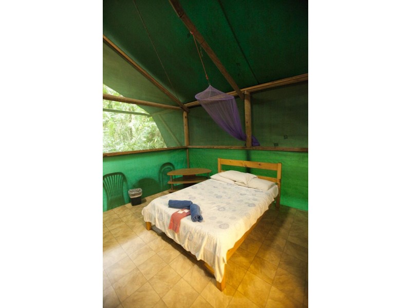 Lot 5  Buchanan Creek Rd, Cow Bay QLD 4873