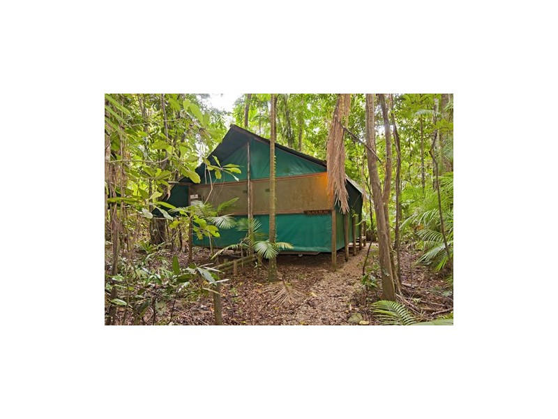 Lot 5  Buchanan Creek Rd, Cow Bay QLD 4873