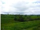 Millaa Millaa QLD 4886
