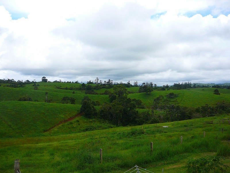 Millaa Millaa QLD 4886