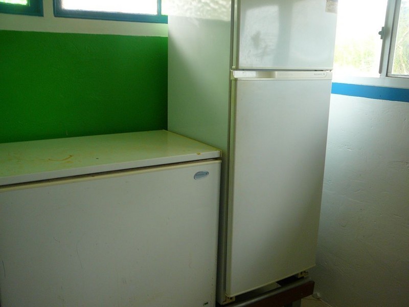 Millaa Millaa QLD 4886