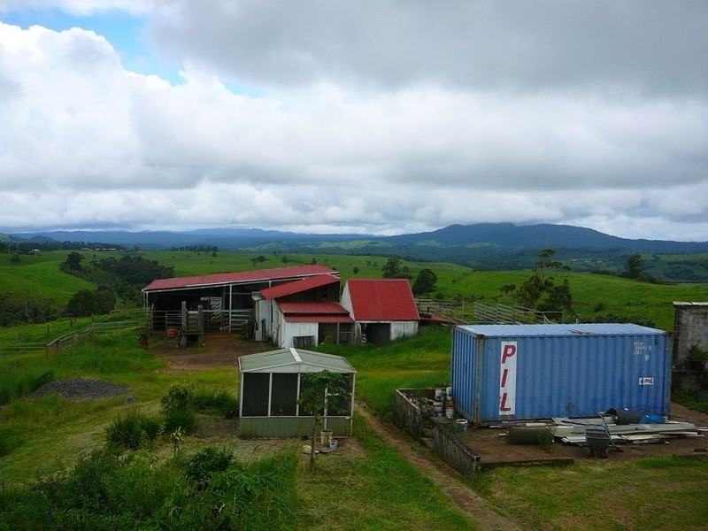 Millaa Millaa QLD 4886