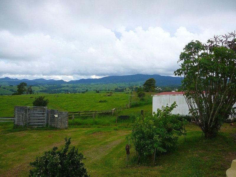 Millaa Millaa QLD 4886