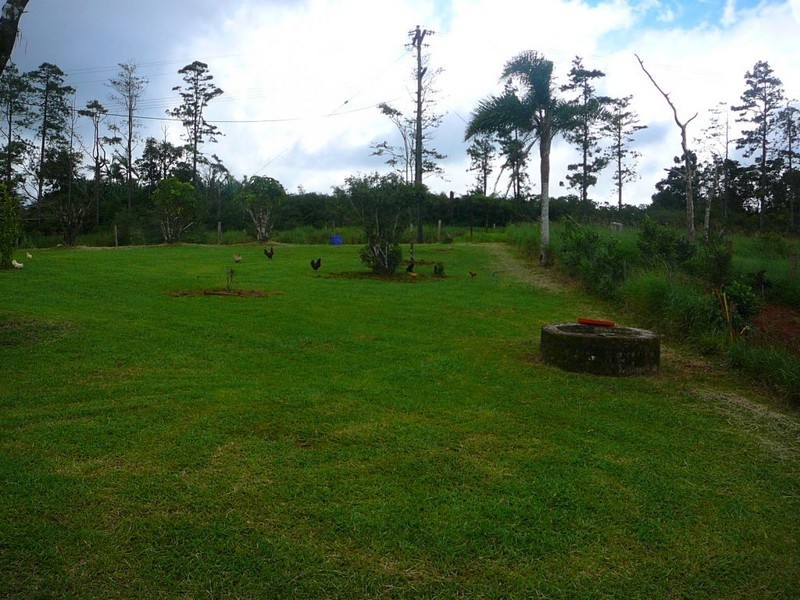 Millaa Millaa QLD 4886