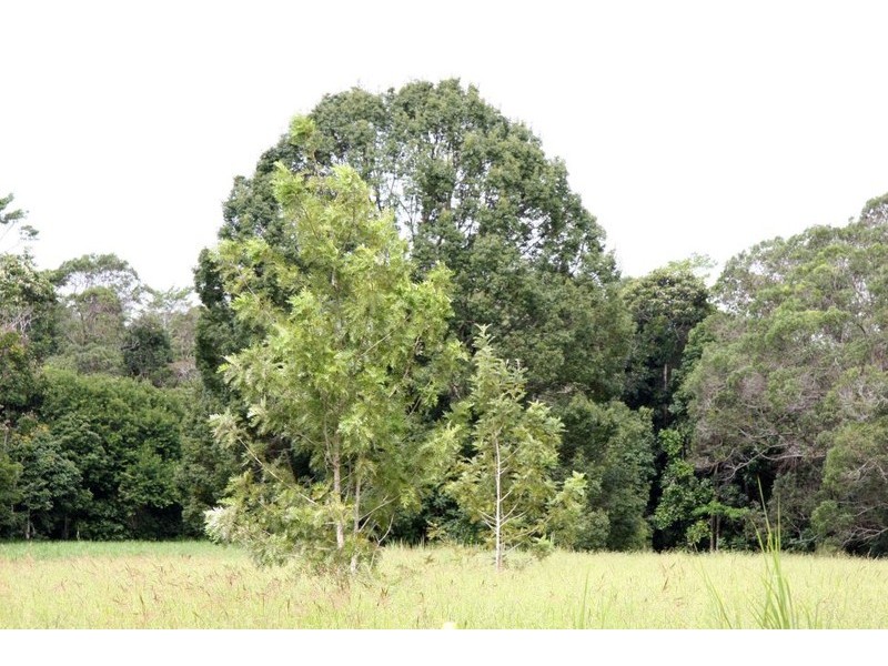 5 Cleminson Close, Malanda QLD 4885