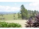 Tarzali QLD 4885
