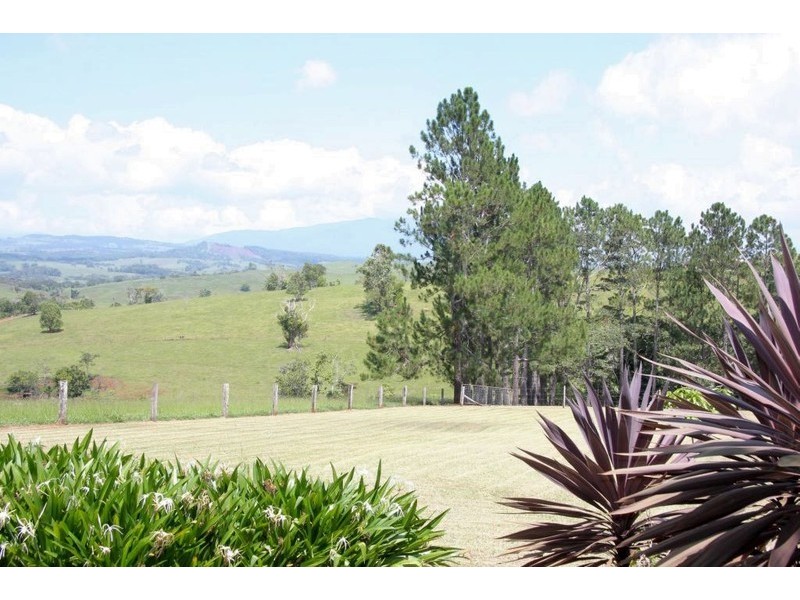 Tarzali QLD 4885