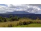 Millaa Millaa QLD 4886
