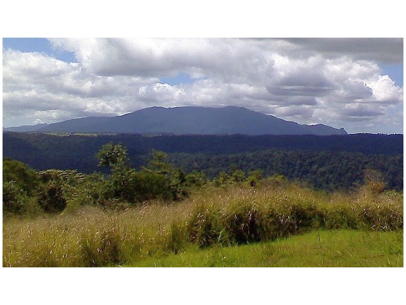 Millaa Millaa QLD 4886