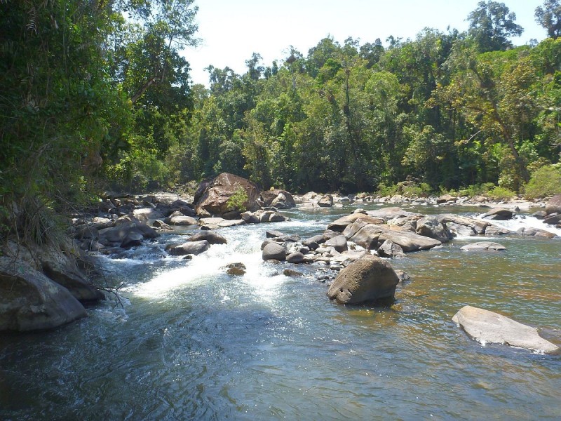 Millaa Millaa QLD 4886