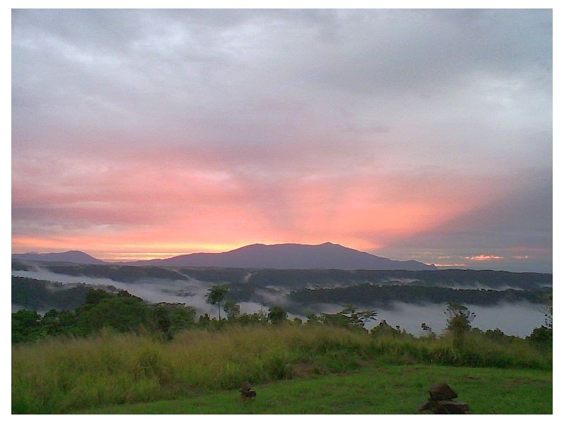 Millaa Millaa QLD 4886
