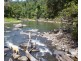 Millaa Millaa QLD 4886