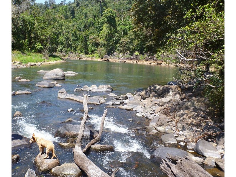 Millaa Millaa QLD 4886