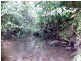 Millaa Millaa QLD 4886