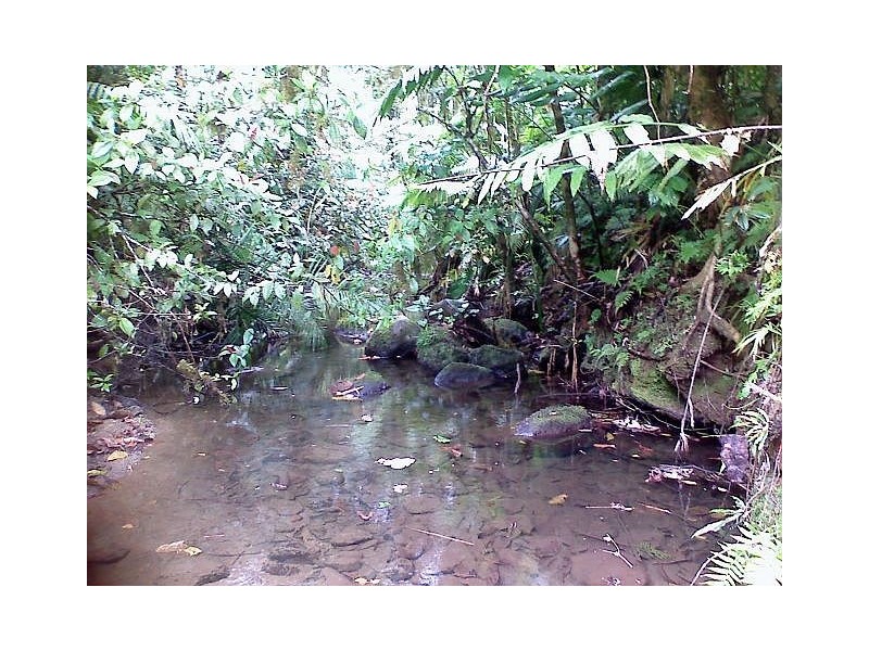Millaa Millaa QLD 4886