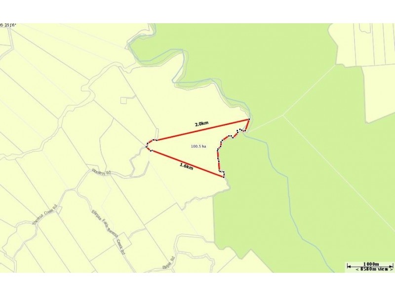 Millaa Millaa QLD 4886