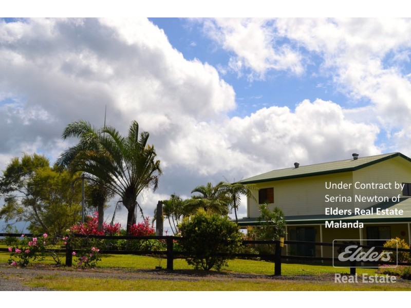 Millaa Millaa QLD 4886