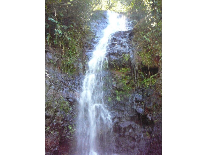 Millaa Millaa QLD 4886