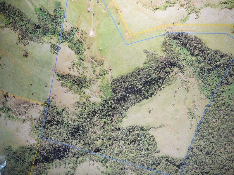 Millaa Millaa QLD 4886