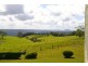 Millaa Millaa QLD 4886