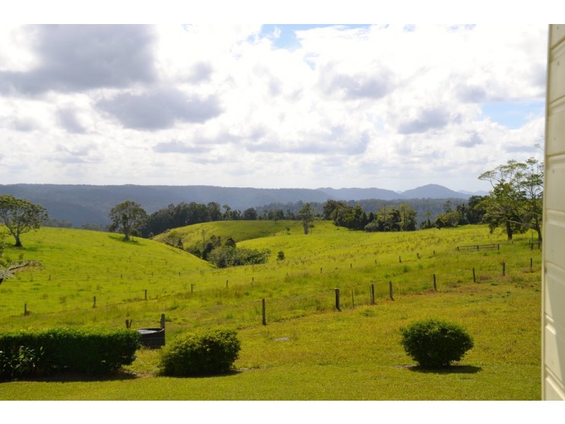 Millaa Millaa QLD 4886