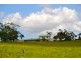 Millaa Millaa QLD 4886