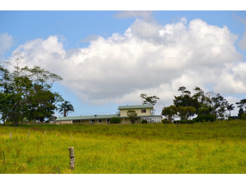 Millaa Millaa QLD 4886