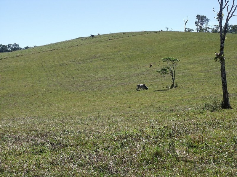 Evelyn QLD 4888