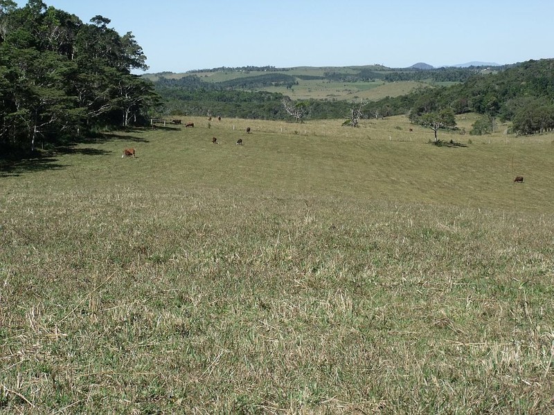 Evelyn QLD 4888