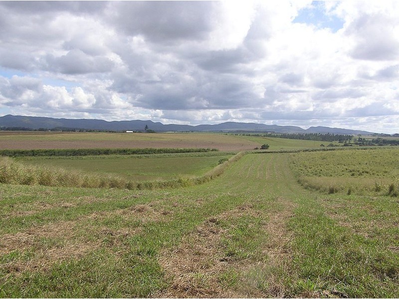 Atherton QLD 4883