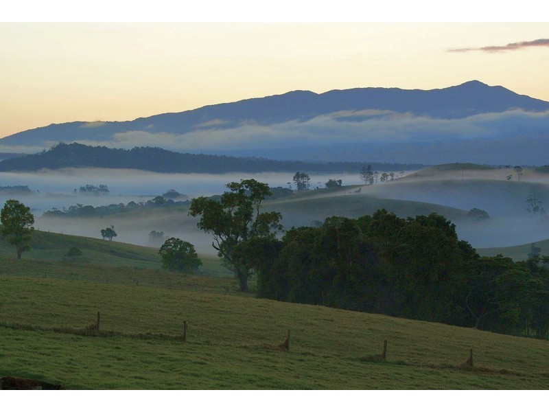 Tarzali QLD 4885