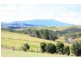 Tarzali QLD 4885