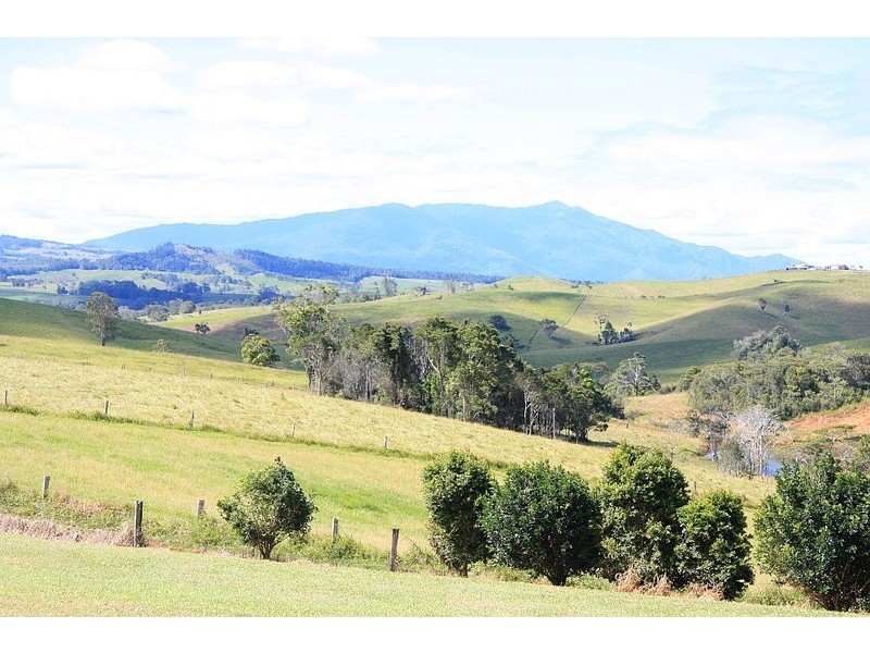 Tarzali QLD 4885