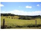 Tarzali QLD 4885