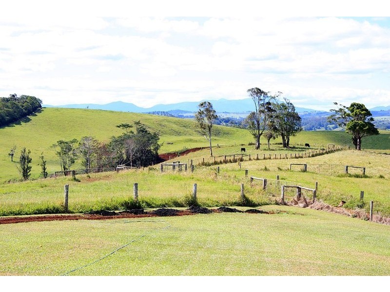 Tarzali QLD 4885