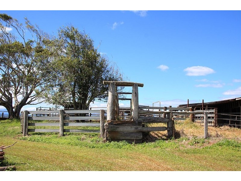 Tarzali QLD 4885