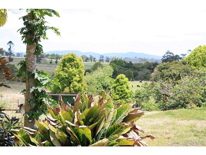 Malanda QLD 4885